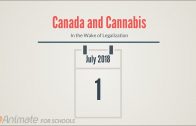 Canada and Cannabis: In the Wake of Legalization