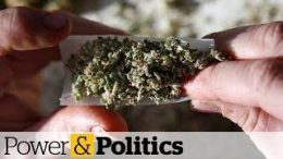 Legal-weed-in-Canada-How-it-works-where-you-live-Power-Politics