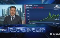 Tilray CEO on Canada legalization, growth and the cannabis industry