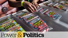 Cannabis-edibles-to-become-legal-in-December-Power-Politics